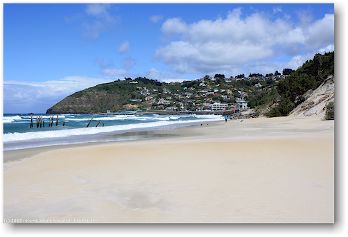 sandstrand an der saint clair beach in dunedin