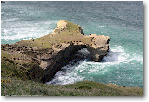 fels mit loch an der tunnel beach bei dunedin