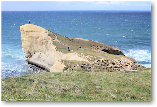 fels an der tunnel beach bei dunedin