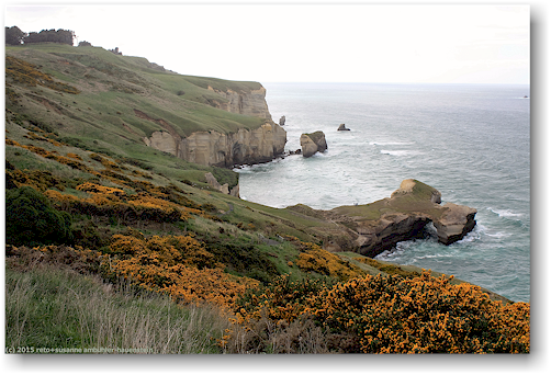 kueste an der tunnel beach bei dunedin