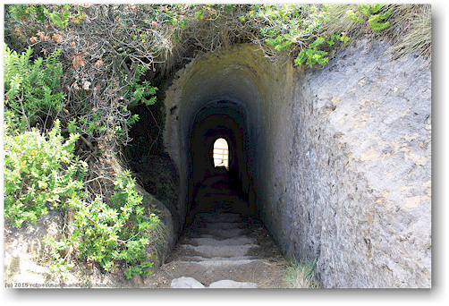 tunnel an der tunnel beach bei dunedin