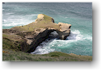 fels mit loch an der tunnel beach bei dunedin