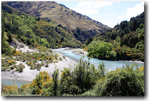 shotover river bei arthur's point