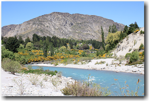 morning star beach am shotover river bei arthur's point
