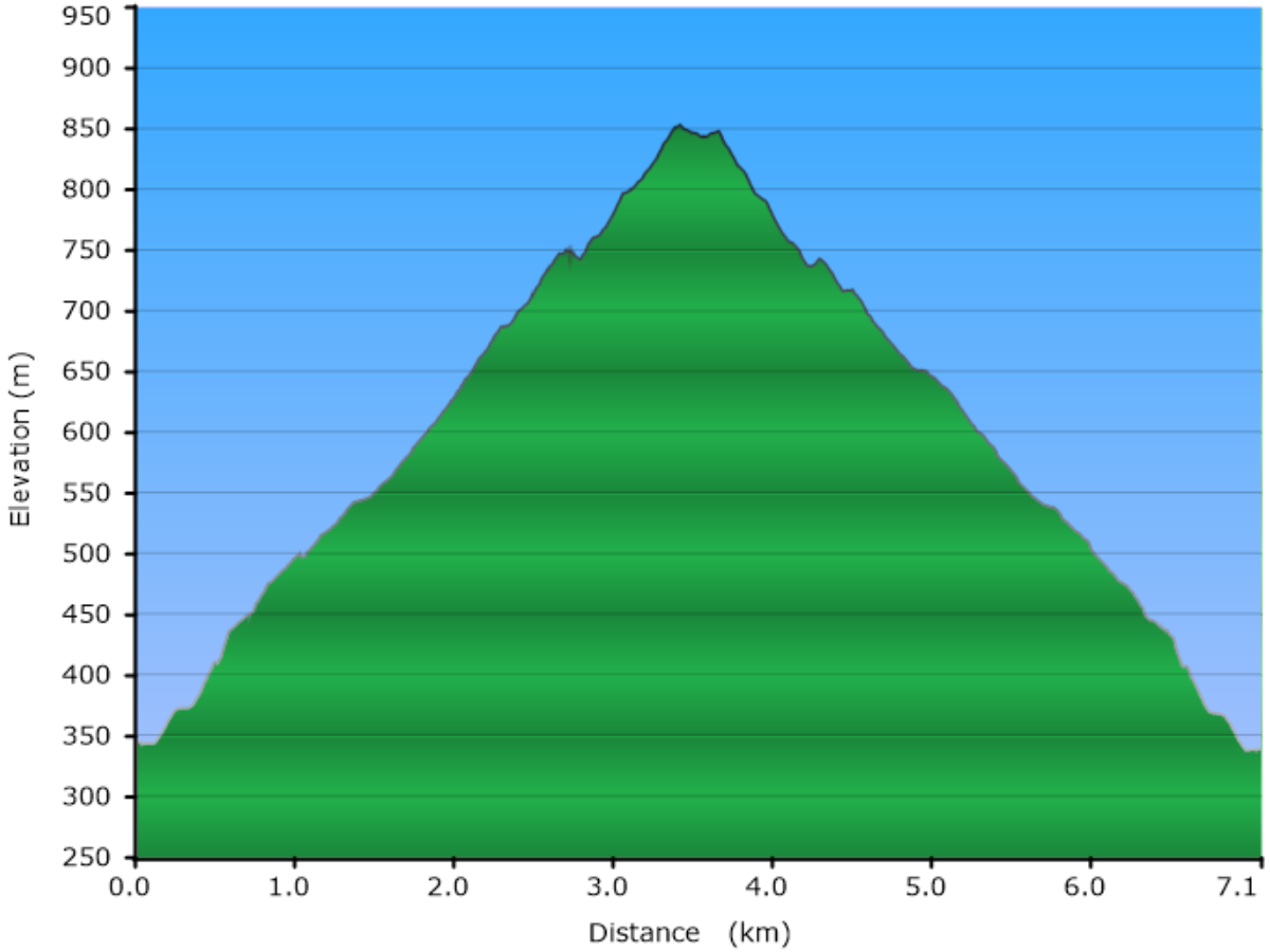 hoehenprofil der wanderung zum queenstown hill.