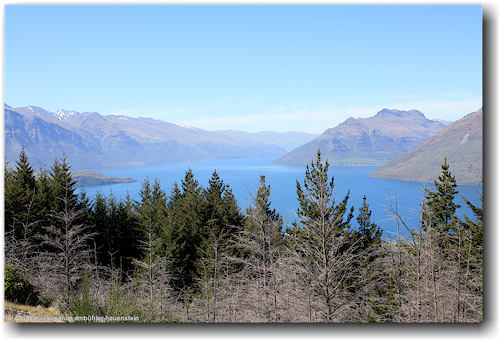 blick vom queenstown hill auf lake wakatipu