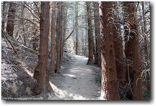 wanderweg am queenstown hill