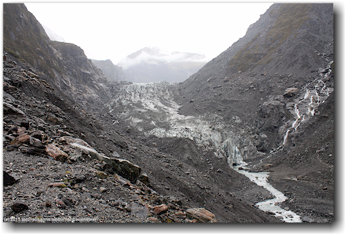 fox glacier
