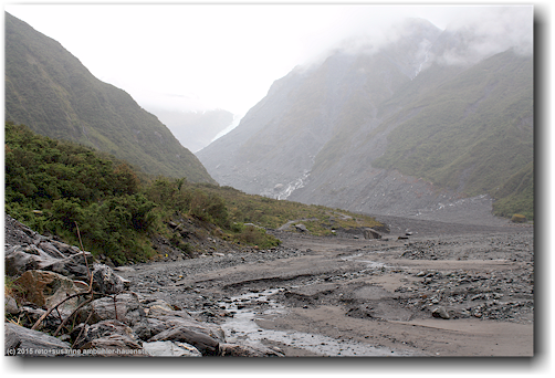 tal zum fox glacier
