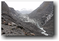 fox glacier