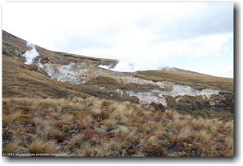 tongariro alpine crossing track: ketetahi hot springs