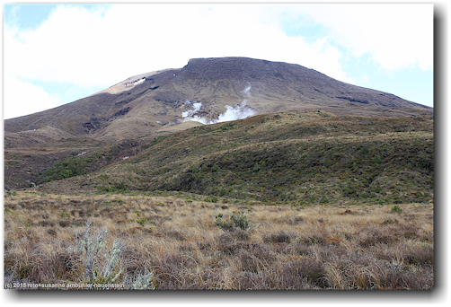 tongariro alpine crossing track: geothermisch aktive zone am rotopaunga