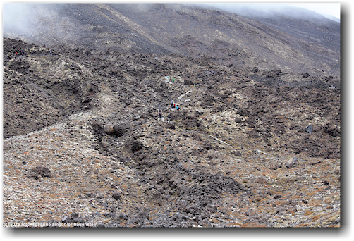 tongariro alpine crossing track: aufstieg richtung south crater