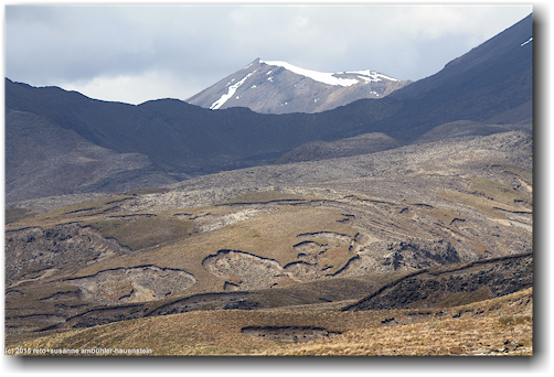 blick vom upper tama lake track auf mount tongariro