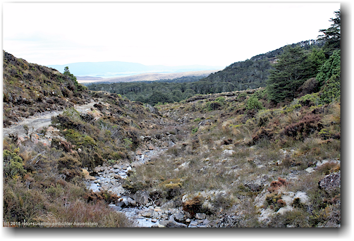 upper tama lake track zwischen whakapapa village und taranaki falls