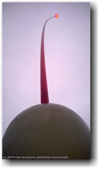 wind wand in new plymouth