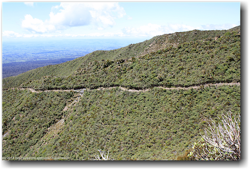 wanderweg in der flanke des mount taranaki