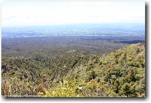 blick auf die ebene am fuss des mount taranaki