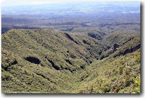 blick in eines der zahlreichen tobel am mount taranaki