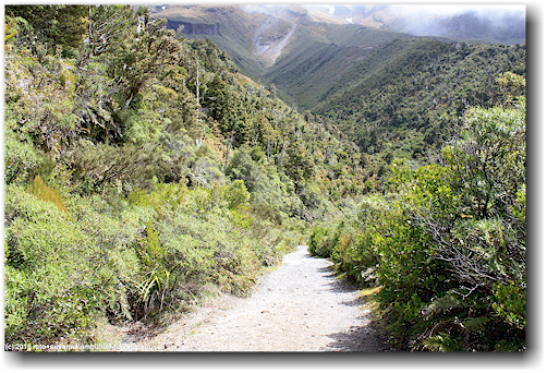 steiler abstieg am mount taranaki