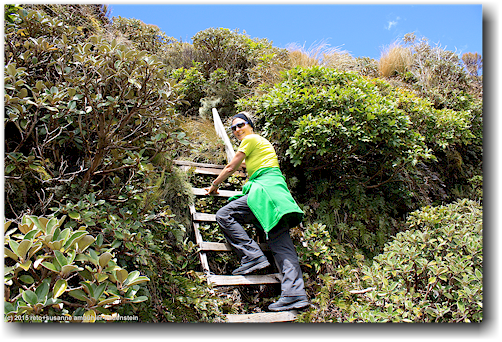 susanne auf einer leiter am mount taranaki