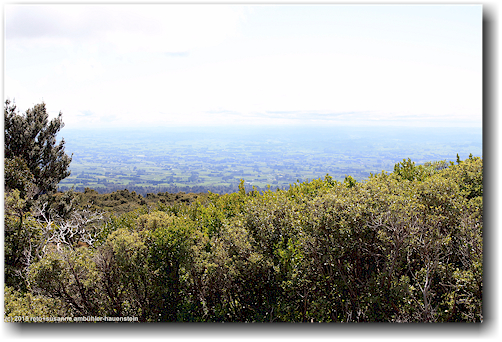 blick vom taranaki visitor center north auf die ebene am fuss des mount taranaki