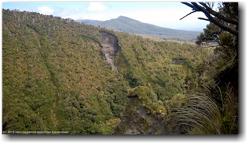 blick vom veronica loop trail am mount taranaki auf den gegenueberliegenden abhang