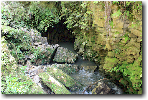 austritt des waitomo stream im ruakuri scenic reserve