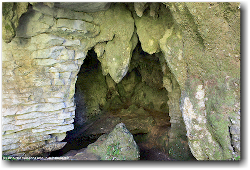 hoehle entlang des ruakuri bush walk bei waitomo