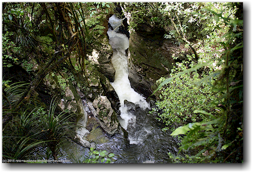 graben mit waitomo stream im ruakuri scenic reserve