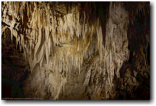ueppige dekorationen in der waitomo ruakuri cave
