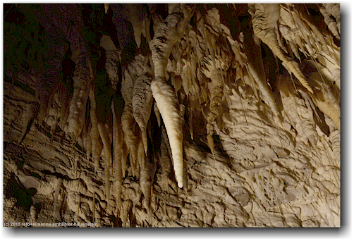 stalaktiten in der waitomo ruakuri cave