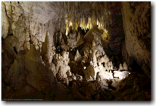 ueppige dekorationen in der waitomo ruakuri cave