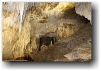 waitomo ruakuri cave