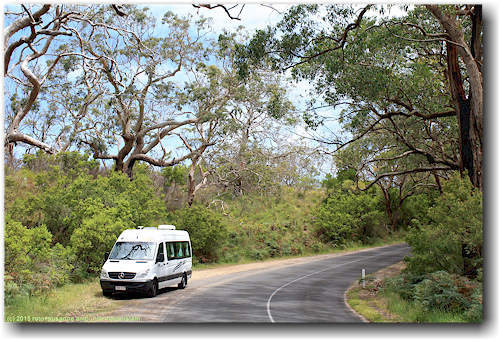 unser campervan auf der zufahrtsstrasse zum cape otway