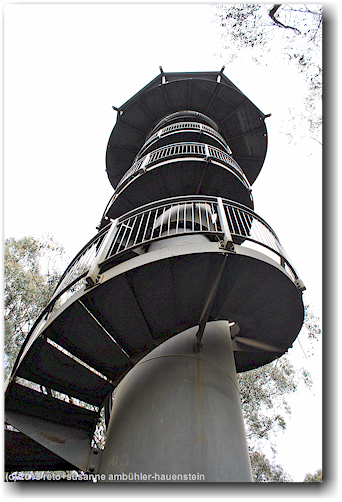 aussichtsturm des otway treetop walkway