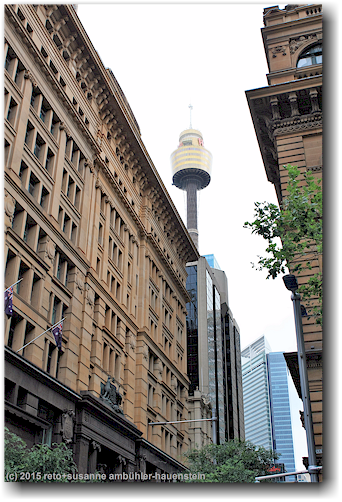 sydney tower eye