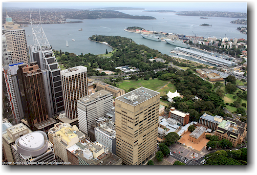 blick vom sydney tower eye richtung nordosten zum royal botanic garden