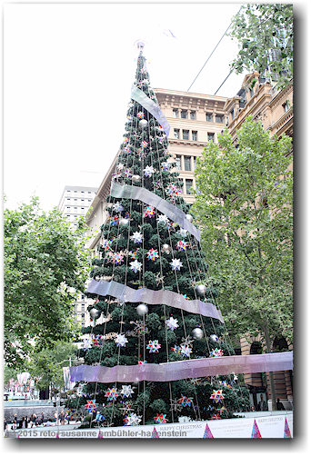 xmas tree (weihnachtsbaum) im zentrum von sydney