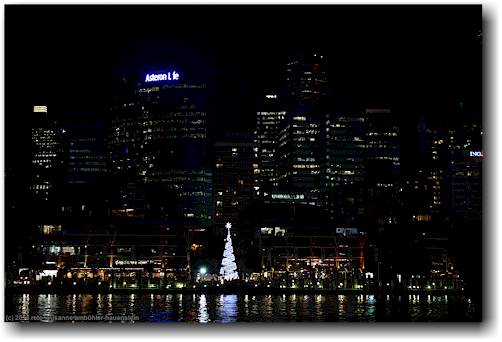 xmas tree (weihnachtsbaum) am ufer des sydney harbour bei nacht