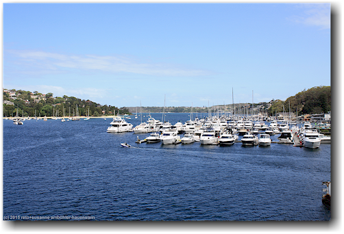 yachthafen im middle harbour bei sydney the spit