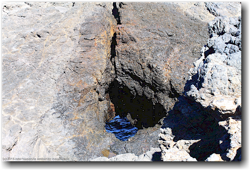 blowhole bei kiama