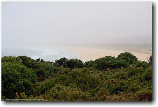 nebel ueber der kueste im ben boyd national park