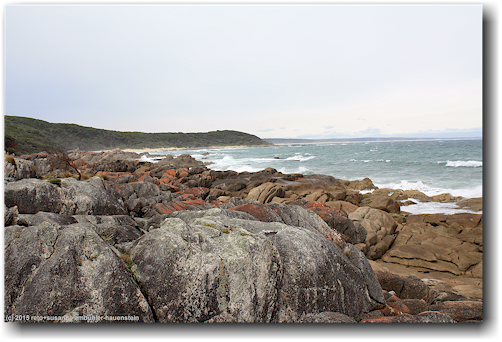 kueste im cape conran coastal park