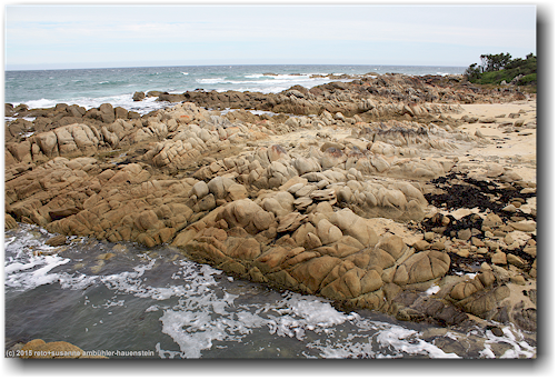 kueste im cape conran coastal park