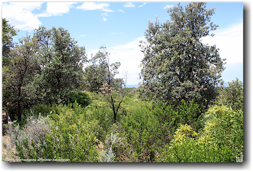 lake tyers coastal reserve bei lakes entrance