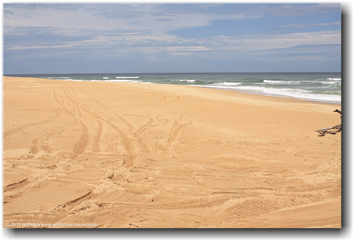 sandstrand im lake tyers coastal reserve bei lakes entrance