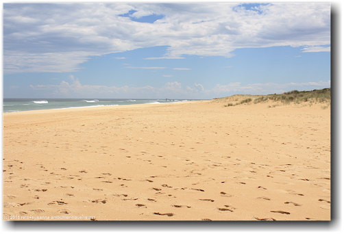 sandstrand im lake tyers coastal reserve bei lakes entrance