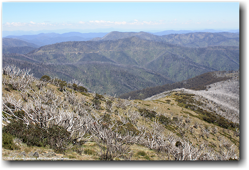 alpine national park mit great alpine road auf der gegenueberliegenden talseite
