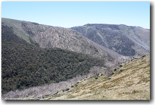 karge bergwelt im alpine national park